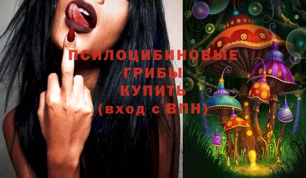 стафф Киренск