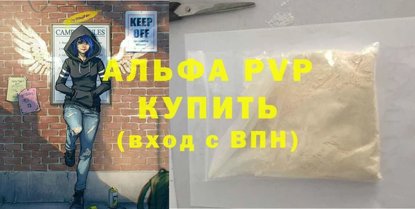 стафф Карпинск