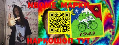стафф Гай