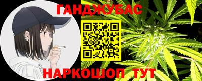 стафф Гай