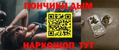 стафф Гай