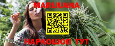 стафф Гай