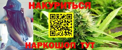 стафф Гай