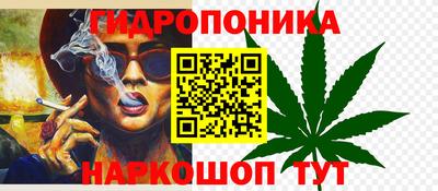 стафф Гай