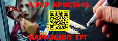 стафф Гай